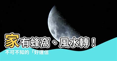 蜂窩風水|「家中有蜂窩風水」，如何化解不良影響？風水專家解析與建議